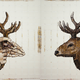Illustration for article titled This Anamorphic Cube Reveals a Different Painting Every Time You Spin It